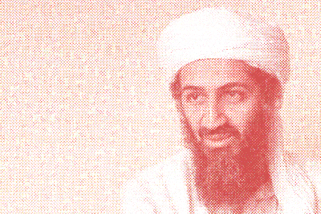 Think Osama bin Laden is trendy TikTokers? Try #Talibanlife