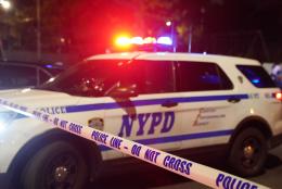 Police found a man stabbed in the chest as well as a 24-year-old man knifed in the torso inside Sara D. Roosevelt Park.