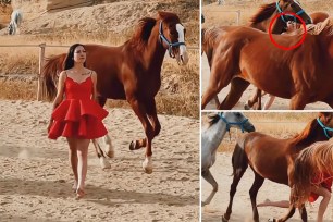(Left) Influencer attempting to get a picture with running horses in Turkey. (Top left) horses running the woman over. (Bottom left) horses running. 
