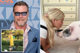 Dean McDermott Claims a Pig in His 'Marital Bed' with Tori Spelling — Plus a Bathroom Chicken — Pushed Him Away